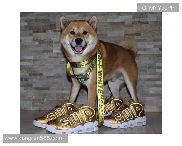 足球明星们的球鞋选择揭秘从场上风采到场下时尚的完美结合 足球明星们的球鞋选择揭秘从场上风采到场下时尚的完美结合